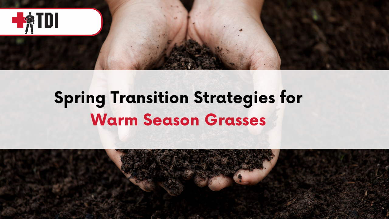 A Vibrant and Healthy Landscape with Spring Transition Strategies - TDI