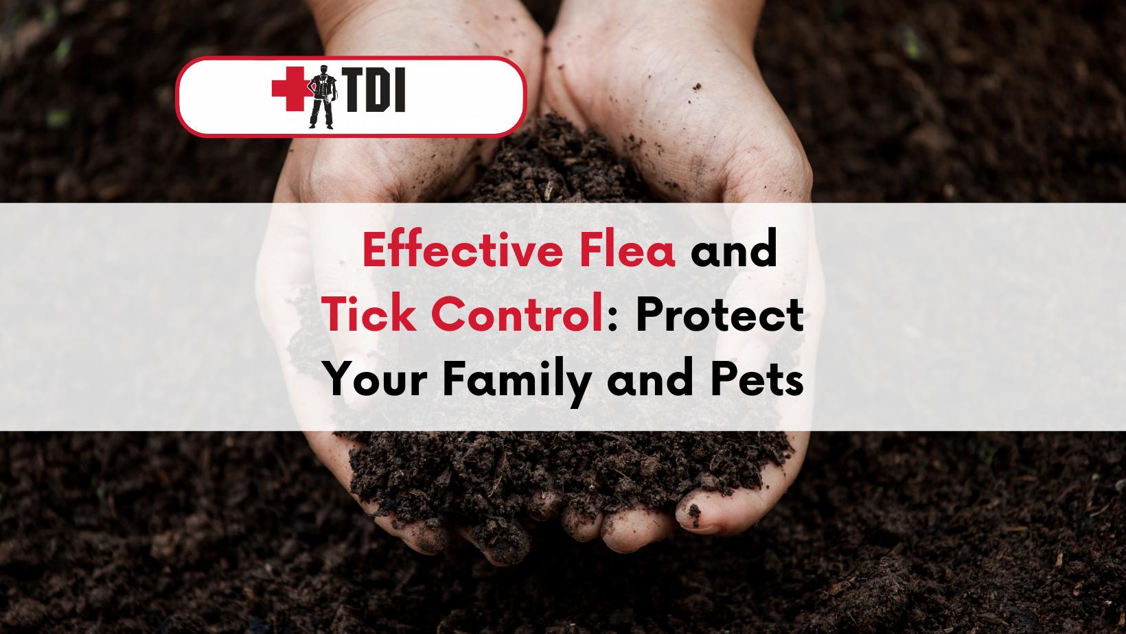 Effective Flea and Tick Control Protect Your Family and Pets TDI