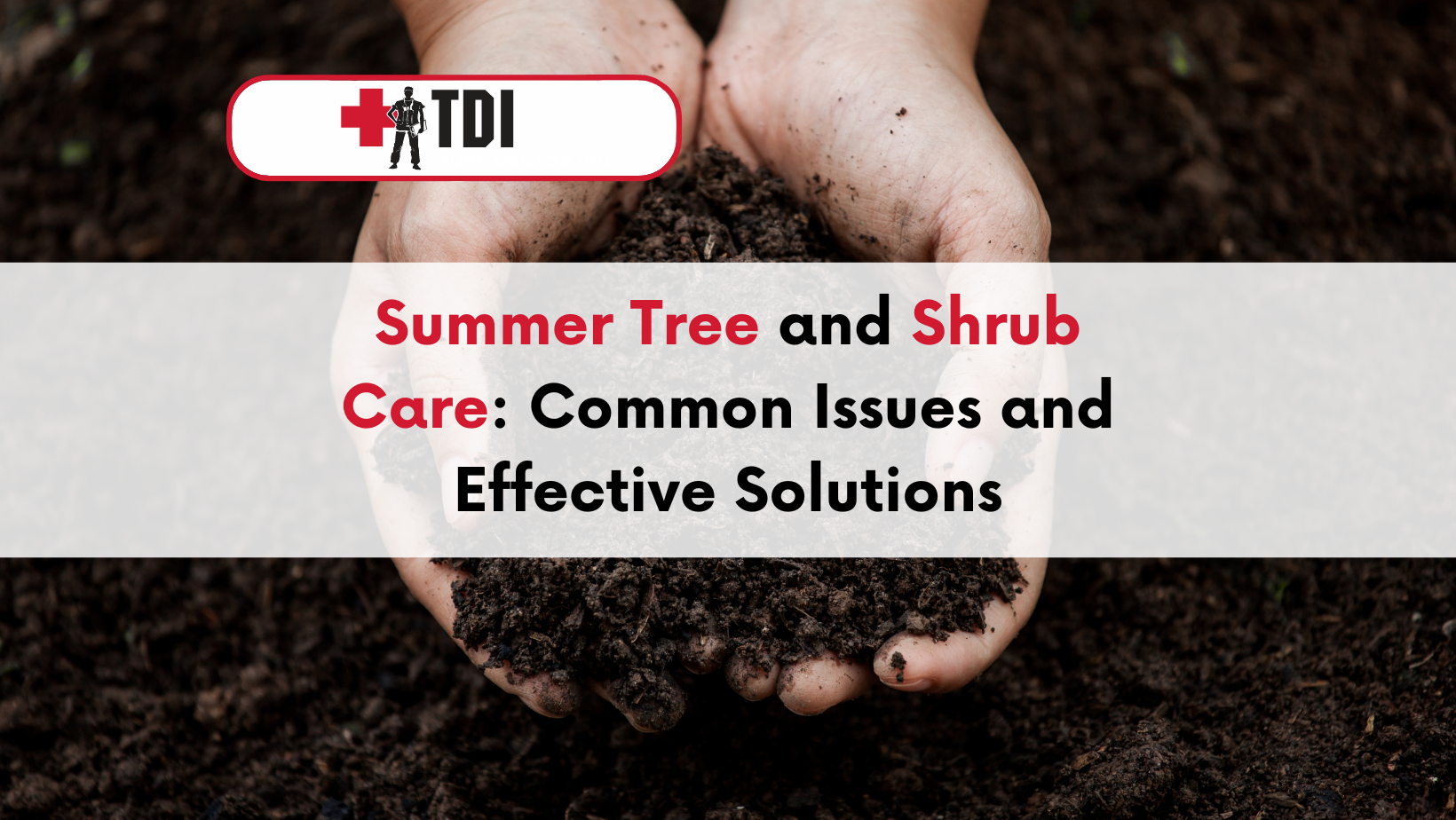 Tree and Shrub Care