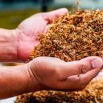 Answering the Question: What Is Mulch?