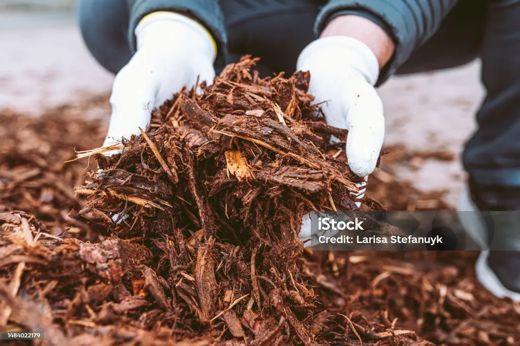 Answering the Question: What Is Mulch?