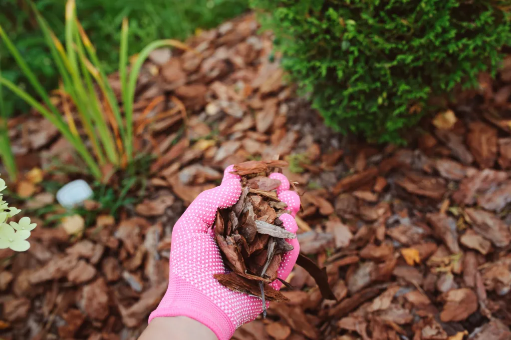 Mulching Leaves: A Fall Lawn To-Do in Alabama